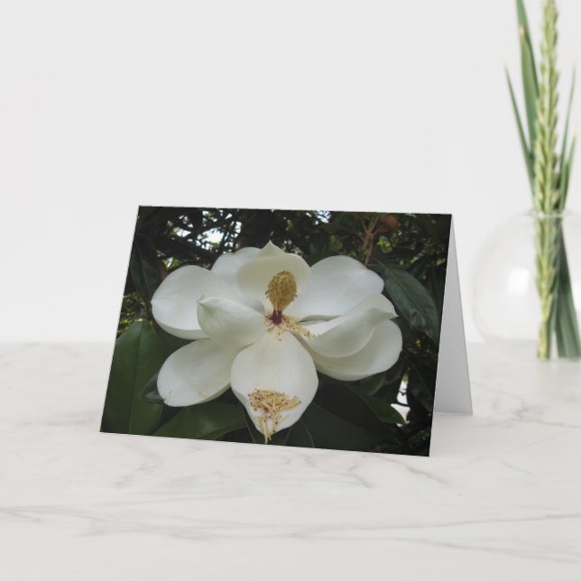 Magnolia Blossom Note Card Karte (Vorderseite)