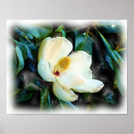 Magnolia Blossom Ölgemälde Digitale Kunst Poster