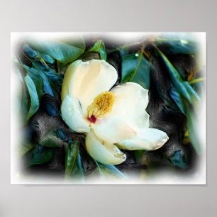 Magnolia Blossom Ölgemälde Digitale Kunst Poster