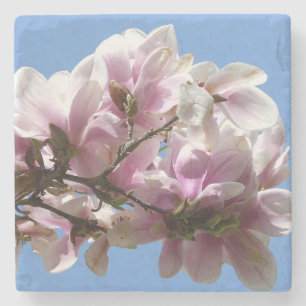 Magnolia Blossom Steinuntersetzer