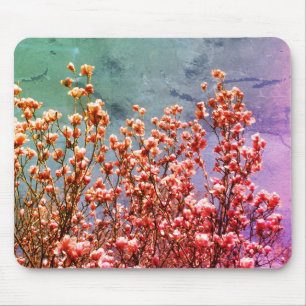 Magnolia Blossoms Blauer Himmel Blume Art Mousepad