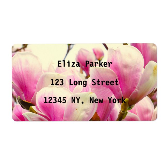 Magnolia Blume Botanischer Blumenkohl Chic (Vorne)