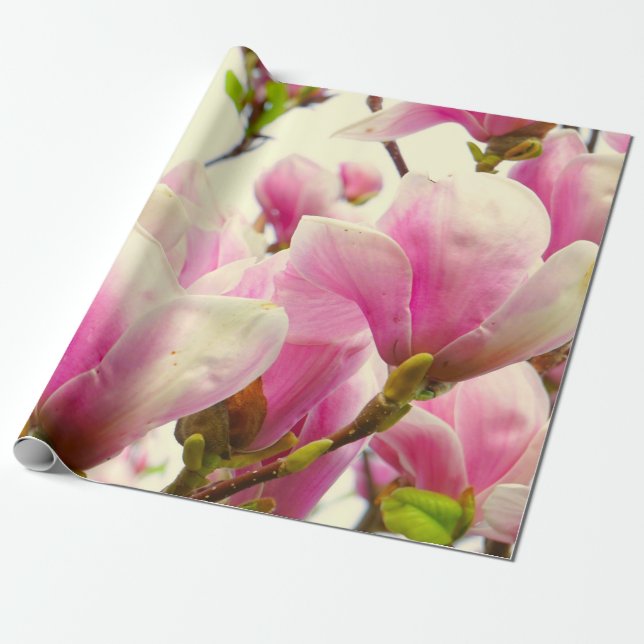 Magnolia Blume Botanischer Blumenkohl Chic Geschenkpapier (Ungerollt)