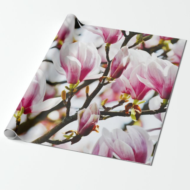 Magnolia Blume Botanischer Blumenkohl Chic Geschenkpapier (Ungerollt)