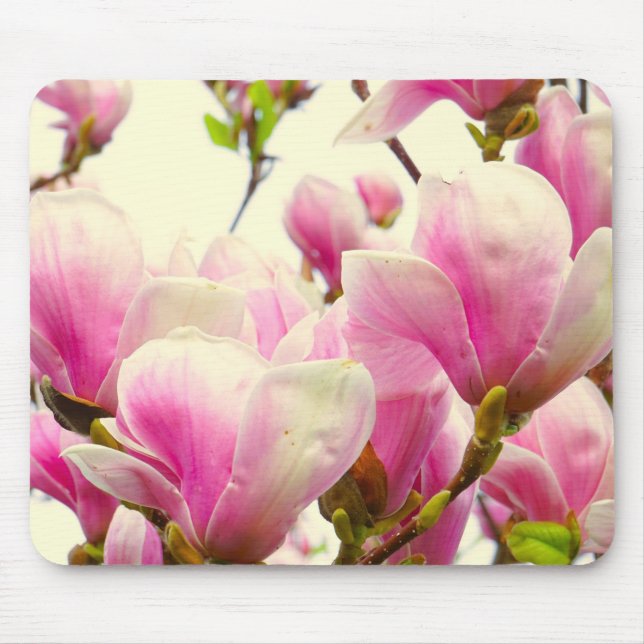 Magnolia Blume Botanischer Blumenkohl Chic Mousepad (Vorne)