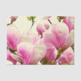 Magnolia Blume Botanischer Blumenkohl Chic Seidenpapier