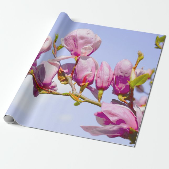 Magnolia Blume Botanisches Blossom Chic Wr Geschenkpapier (Ungerollt)