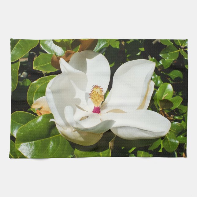 Magnolia-Blume Geschirrtuch (Horizontal)