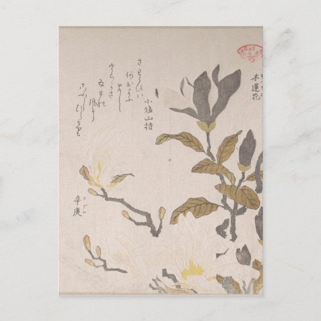 Magnolia Blume - Kubo Shunman (Japanisch) Postkarte (Vorderseite)