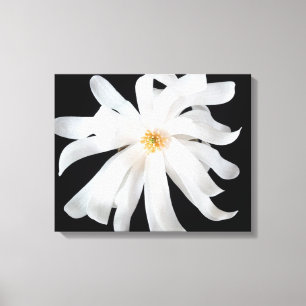 Magnolia-Blume Leinwanddruck