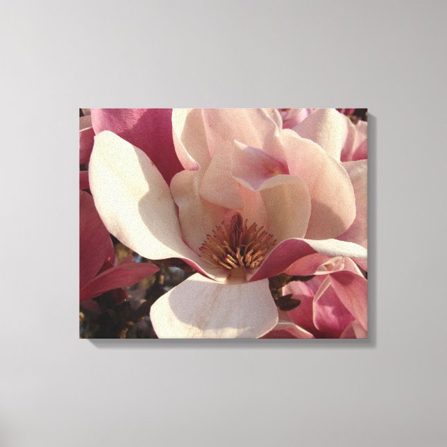 Magnolia-Blume Leinwanddruck (Vorderseite)