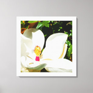Magnolia-Blume Leinwanddruck