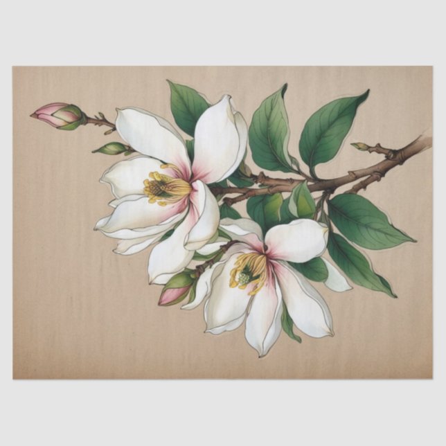 Magnolia-Blume Seidenpapier (Vorderseite)