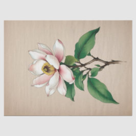 Magnolia-Blume Seidenpapier