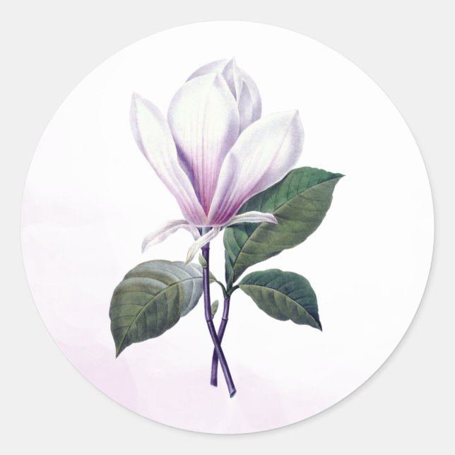 Magnolia Blume Siegel Stickers (Vorderseite)