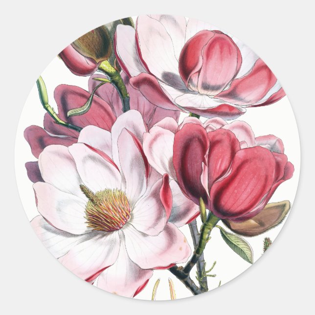 Magnolia Blume Stickers (Vorderseite)