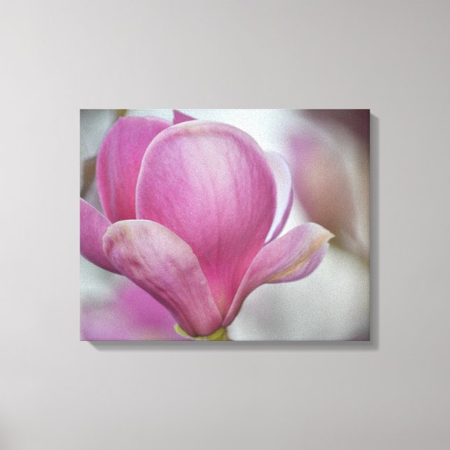 Magnolia Blume Tree Leinwanddruck (Vorderseite)