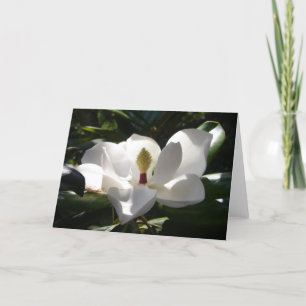 Magnolia Blumenfotografie Grußkarte Kunst Karte