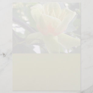 Magnolia-Briefpapier gerecycelt