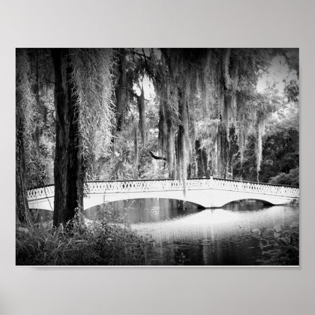 Magnolia-Brücke Poster (Vorne)