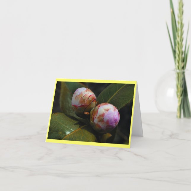 Magnolia Buds Karte (Vorderseite)