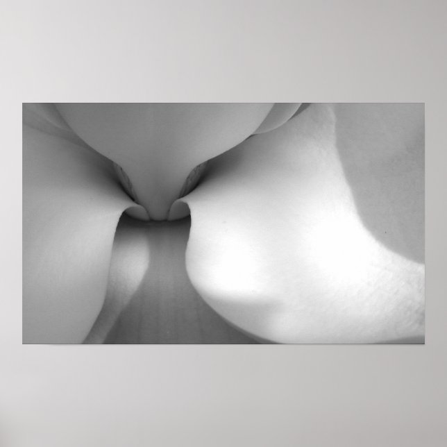 Magnolia Canvas Print Poster (Vorne)