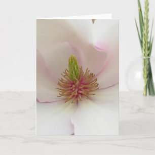 Magnolia Card White Blossom Card Personalize Feiertagskarte