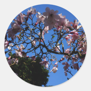 Magnolia dawsoniana #1-1 Stickers