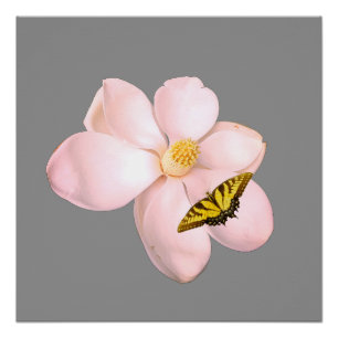 Magnolia-Druck, Value Poster Papier (Halbglanz)