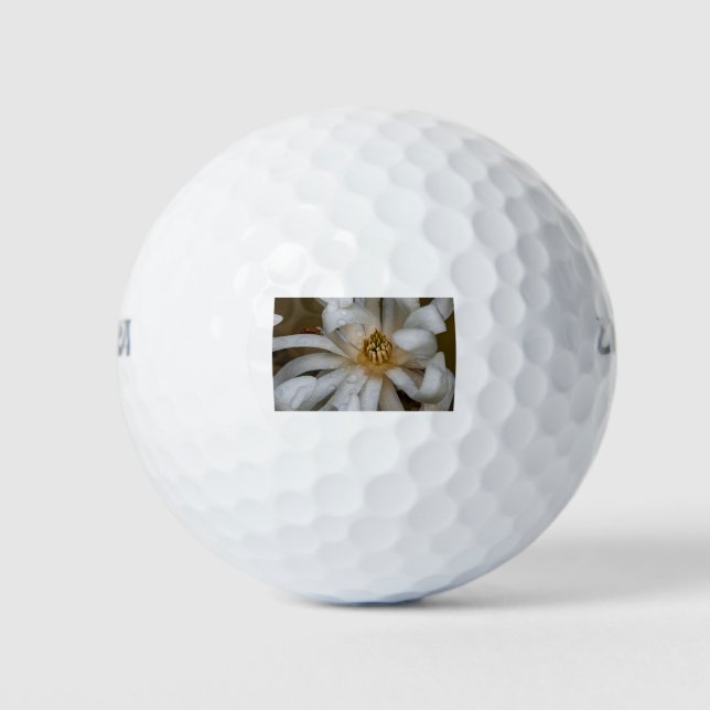 Magnolia étoilé golfball (Vorderseite)