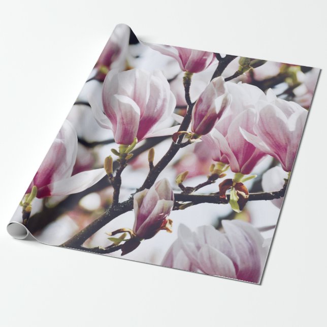 Magnolia Floral Botanisches Blossom Vintag Antique Geschenkpapier (Ungerollt)