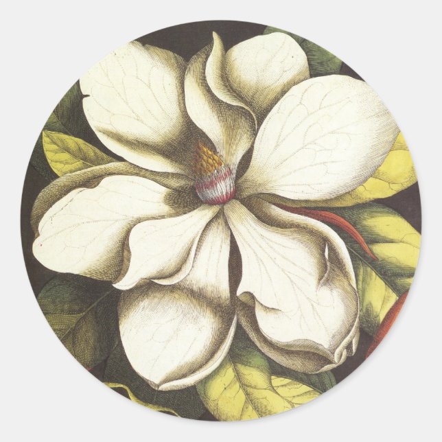 Magnolia Floral Sticker Umschlag Aufkleber (Vorderseite)