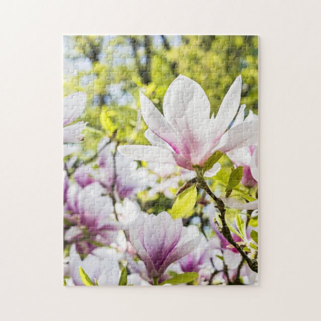 Magnolia Flowers in Spring Puzzle (Vertikal)
