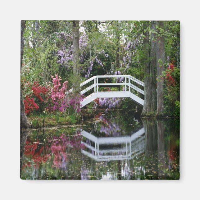 Magnolia Gardens, S.C. Magnet (Vorne)