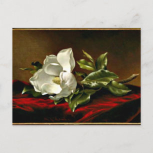 Magnolia Grandiflora Kunstwerk Postkarte