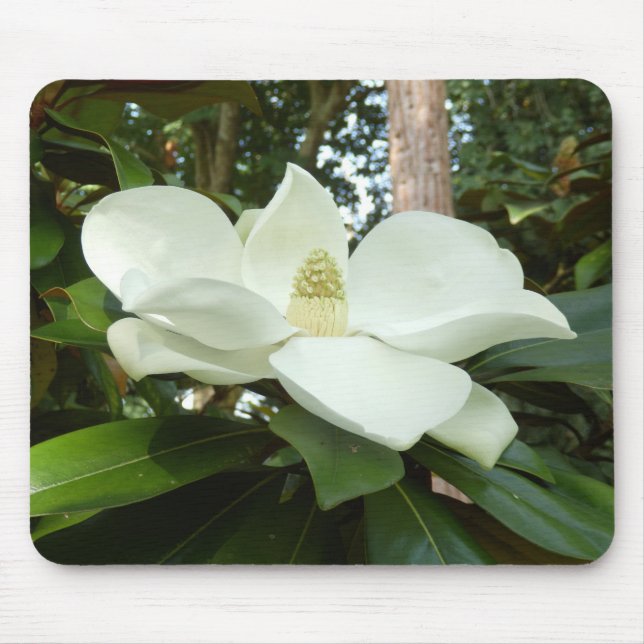 Magnolia Grandiflora Mat Mousepad (Vorne)