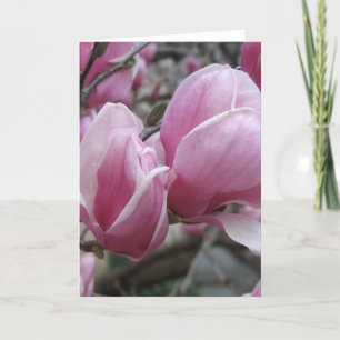 Magnolia Grußkarte Karte