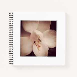 Magnolia Journal Notizbuch