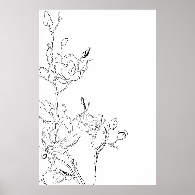 Magnolia-Kontur Poster (Vorne)