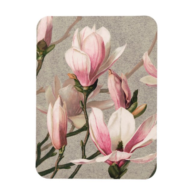 Magnolia - L. Prang & Co Magnet (Vertikal)