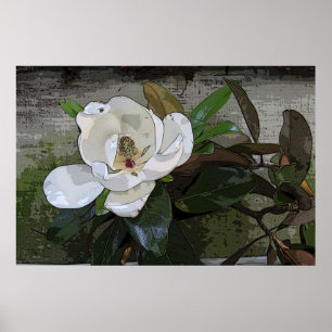 Magnolia Magic Poster -36x24 - andere Größen auch
