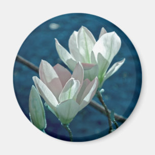 Magnolia Magnet