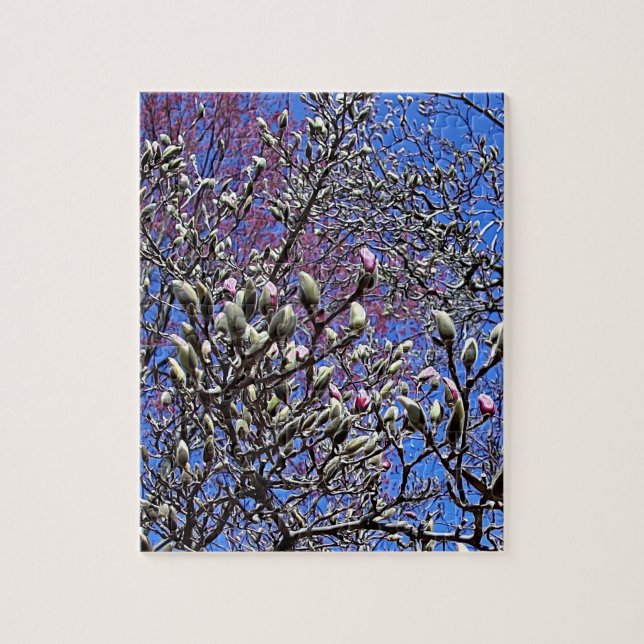 Magnolia, Masse der Buds Puzzle (Vertikal)