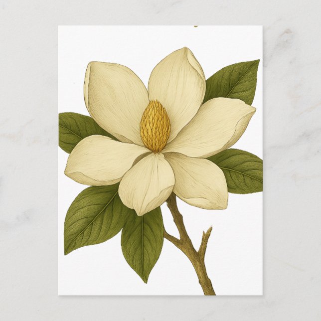 Magnolia — Mobilität Postkarte (Vorderseite)