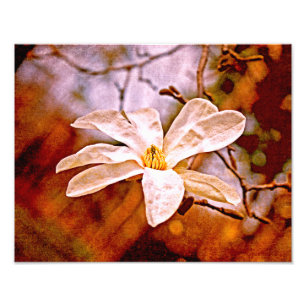 Magnolia Mood Fotodruck