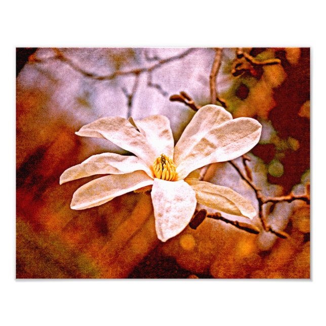 Magnolia Mood Fotodruck (Vorne)
