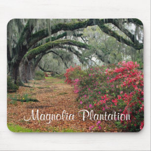 Magnolia Plantation / Charleston SC Mousepad