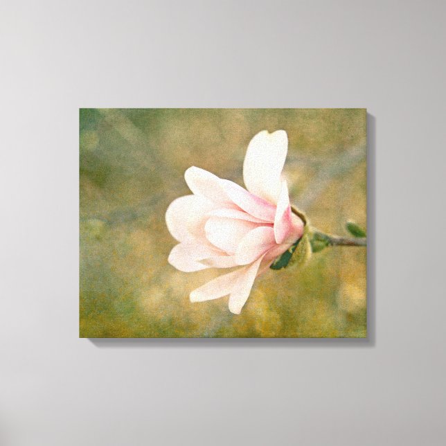 Magnolia Queen Leinwanddruck (Vorderseite)