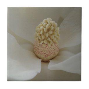 Magnolia Small (4,25" x 4,25") Keramik Foto Tile Fliese