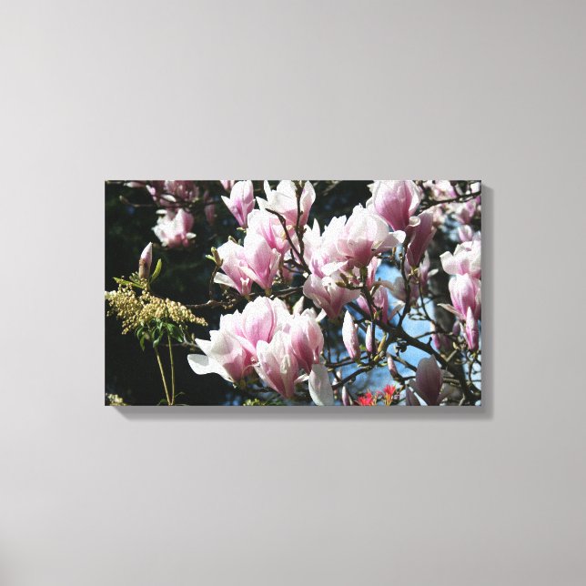 Magnolia Spring Floral Fotografie Leinwand 6 (Vorderseite)